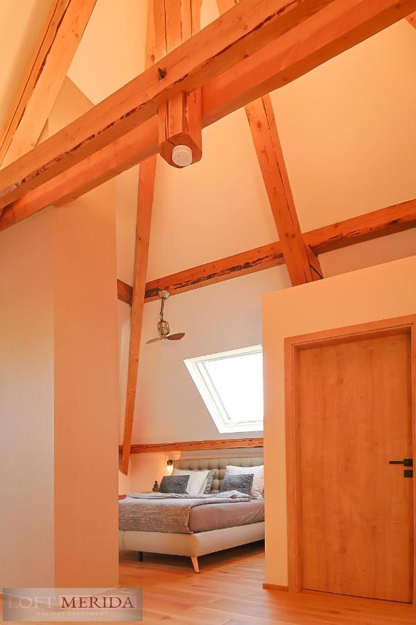 Loft Merida - Designer Apartment With Large Bathtub Butgenbach Dış mekan fotoğraf