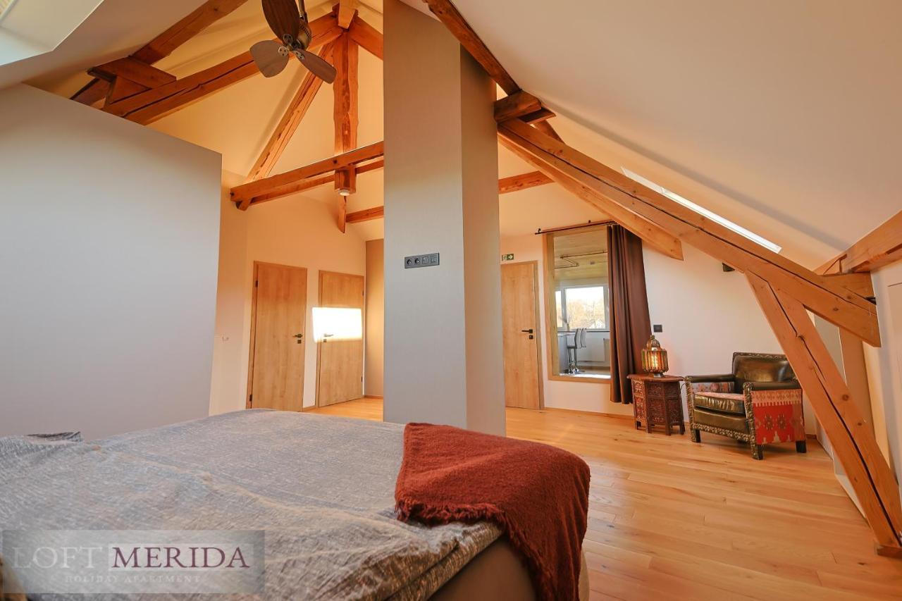 Loft Merida - Designer Apartment With Large Bathtub Butgenbach Dış mekan fotoğraf